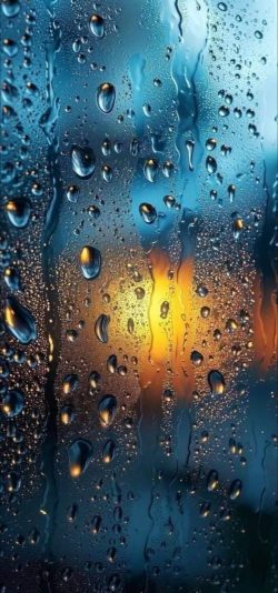 IMG_٢٠٢٥٠٧١٢_١٤٢٢٣٨